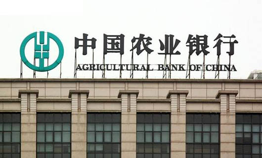 中國農(nóng)業(yè)銀行境外視頻會(huì)議系統(tǒng)